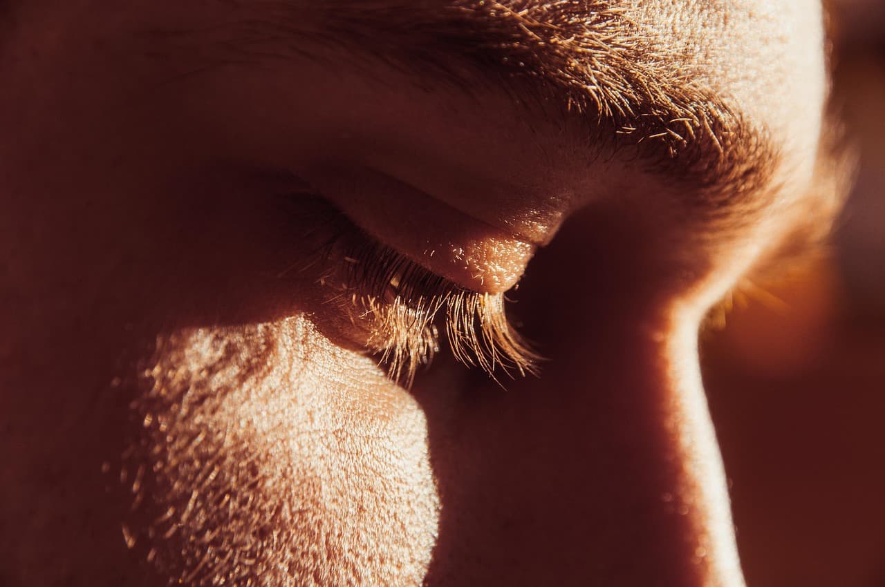 Close-up of lifted, curled lashes in warm side light